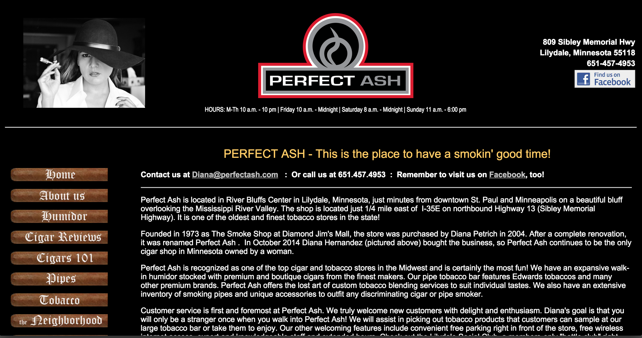 Perfect Ash Website