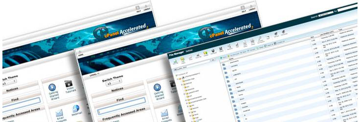 Picture of cPanel Website